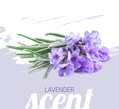 Green Groom French Lavender & Chamomile Aromatherapy Dog Shampoo, 1 Gallon - Soothing and Calming, Chamomile Infused, Natural Ingredients, Professional Grooming Grade, Deodorizing