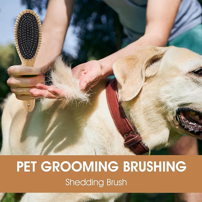 Dog Pin Brush, Airbag Grooming Wooden Comb Pet 20mm Stainless Steel Round Pin Slicker Brush with Bamboo Handle for Removing Shedding Tangles Dead Undercoat