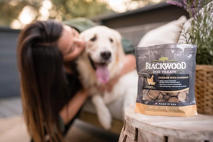 Blackwood Pet Food Oven Baked Dog Treats Made in USA [Natural Dog Treats for Healthy Snacks] Perfect for Dog Training Treats, Chicken with Parmesan, Brown (22609)