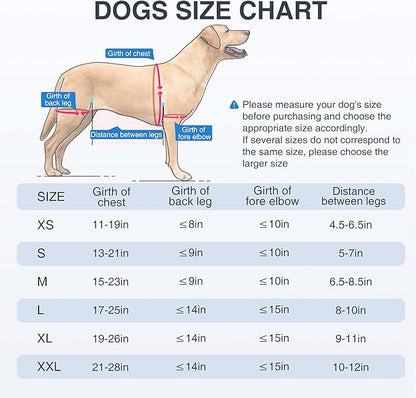 Dog Lift Harness for Senior Dogs and Medium Dogs, Walkabout Harness for Dogs for Hip dysplasia, Arthritis, Full Body Dog Lift Harness Help Loss of Stability Dogs Walk XS