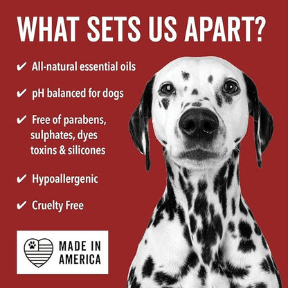 Pride and Groom DogDays Nourishing Dog Conditioner | Tearless, Hypoallergenic Formula for Allergies, Itching & Dry Skin | Natural Detangler for Dogs | Extends Life of Dog Groom | 16 oz