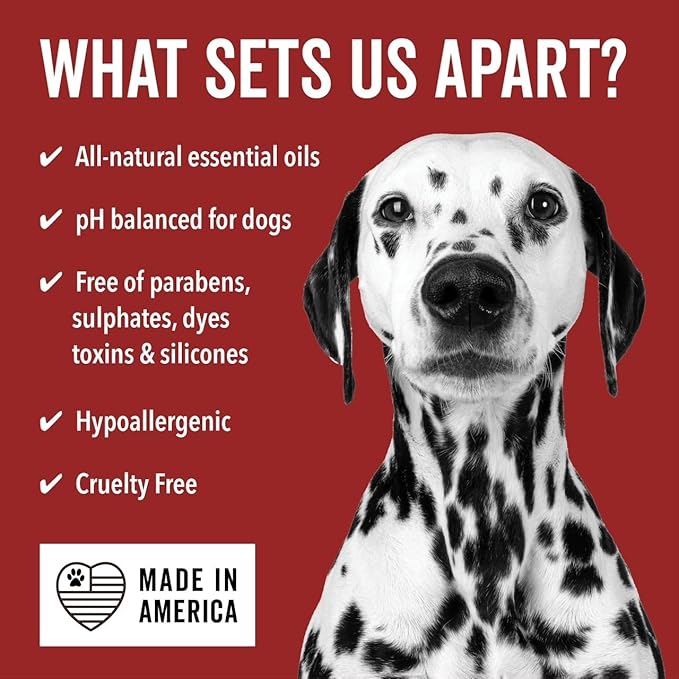 Pride and Groom DogDays No Rinse Quick Cleaning Shampoo | Waterless Foaming Dry Shampoo for Dogs & Cats | Odor-Eliminating, Hypoallergenic Pet Cleanser | 8 fl oz | Made in USA