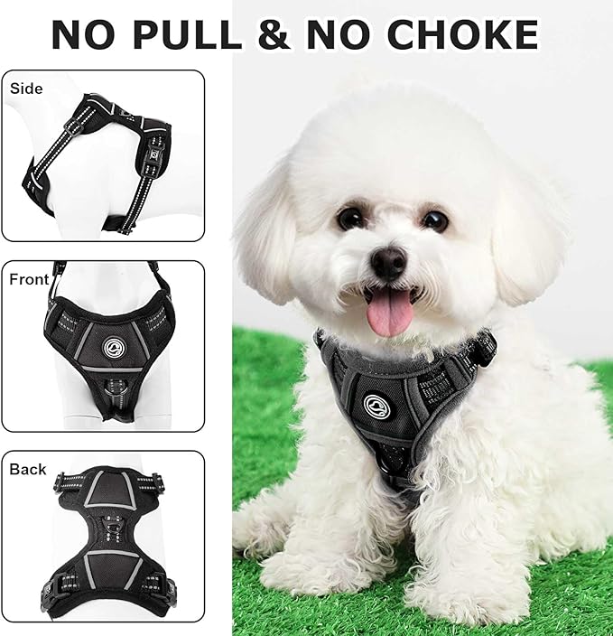 Dog Harness Small Sized Dog, No Pull Pet Harness with 2 Leash Clips, Adjustable Soft Padded Dog Vest Harnesses, Reflective No-Choke Pet Oxford Vest