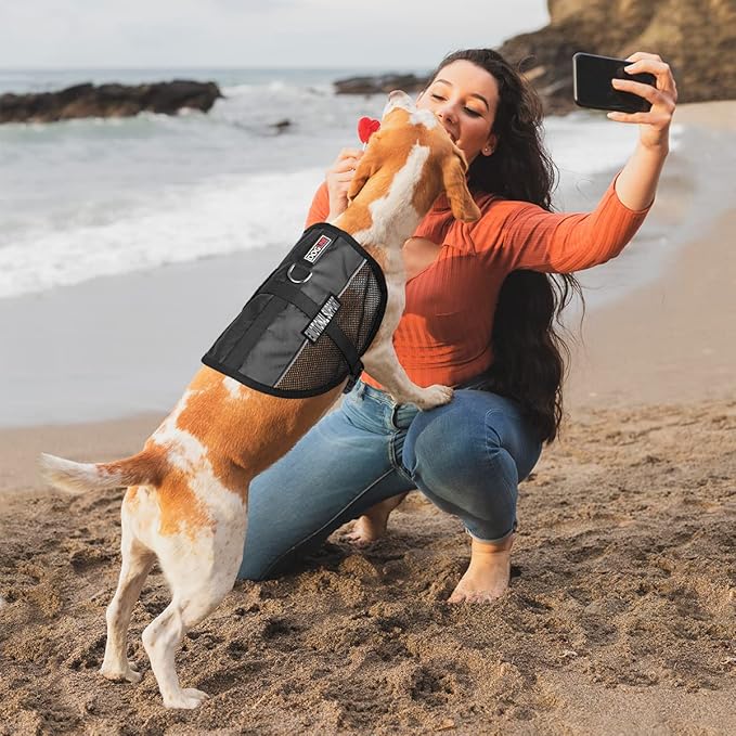 Dogline 13"-16" MaxAire Mesh Vest for Dogs and 2 Removable Emotional Support Patches, Small, Black