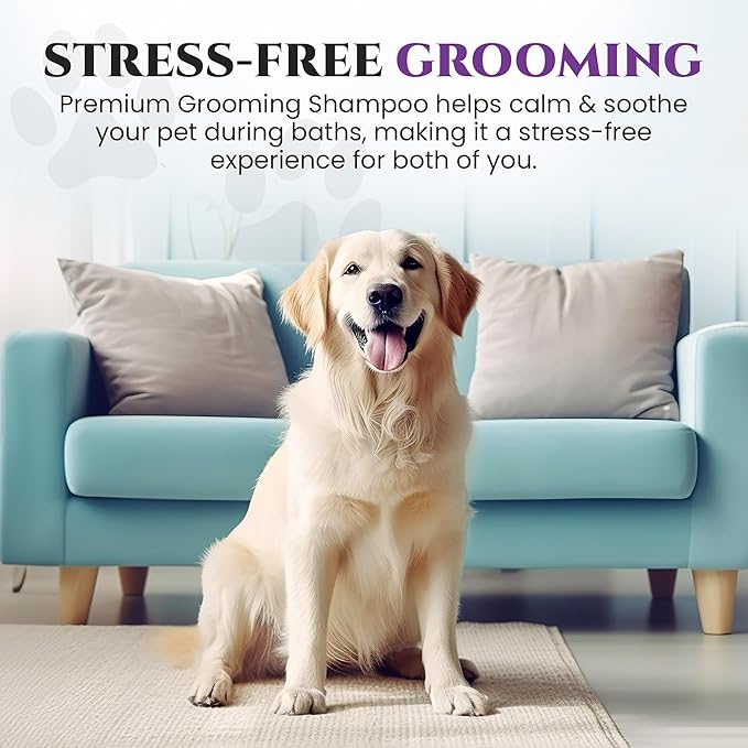 605Products Premium Dog Shampoo - Gentle Formula for Itchy & Sensitive Skin, Odor Eliminator for Puppies, Natural Deodorizer for Pets (10oz)- Lavender