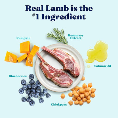 Solid Gold Toy & Small Breed Dry Dog Food Small Bites  Real Lamb, Grain Free, Gluten Free, High Fiber Healthy Kibble w/Probiotics for Gut Health & Digestion Support All Ages NutrientBoost 3.75LB