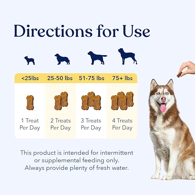 Honest Paws (90 Count) Dog Multivitamin Soft Chews with 10 Essential Vitamins - Joint, Coat, Immune, Eye & Heart Support - with Glucosamine, Chondroitin & Omega-3 - Beef Flavor