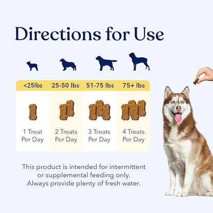 Honest Paws (90 Count) Dog Multivitamin Soft Chews with 10 Essential Vitamins - Joint, Coat, Immune, Eye & Heart Support - with Glucosamine, Chondroitin & Omega-3 - Beef Flavor