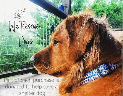 Lucky Love Dog Collars, Comfortable, Soft, Cute Dog Collar for Small Medium Large Dogs, Murphy, Large