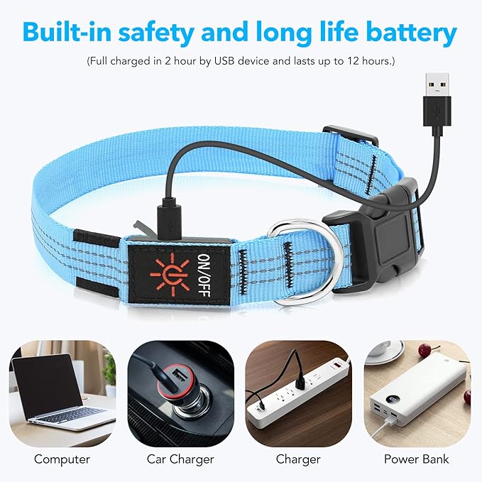BSEEN Light Up Dog Collars - Glowing LED Dog Collar, Reflective Puppy Collar, Adjustable Lighted Dog Collar, Rechargeable Pet Collar for Night Walking (Blue, Medium)