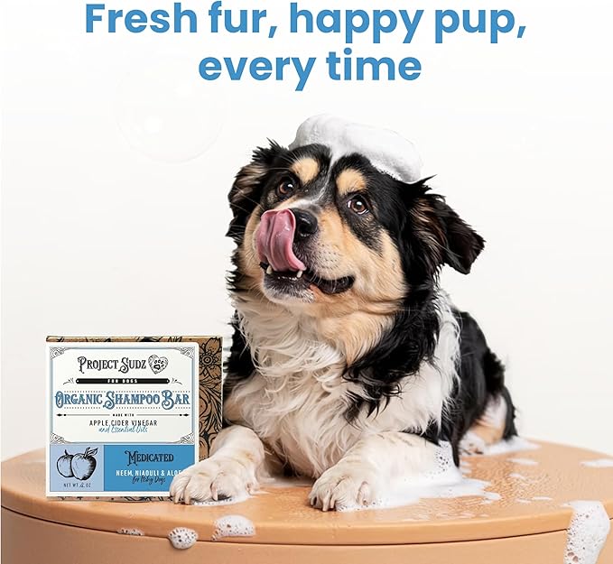 Medicated Organic Dog Shampoo Bar for Hot Spots, Dry Coat, and Allergies, All Natural Dog Shampoo with Neem, Aloe, and ACV, Eco-Friendly, Vet Recommended, 2 Bars for Sensitive Skin Relief