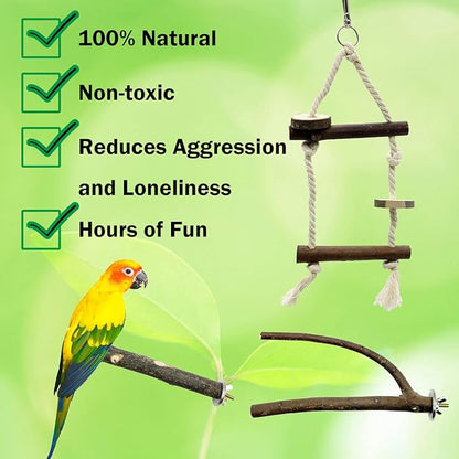 EBaokuup Bird Parrot Perch Set - 10PCS Natural Wood Parakeet Stand, Fork, Rod, Paw Grinding Stick for Budgies, Cockatiels, Conure, Lovebirds