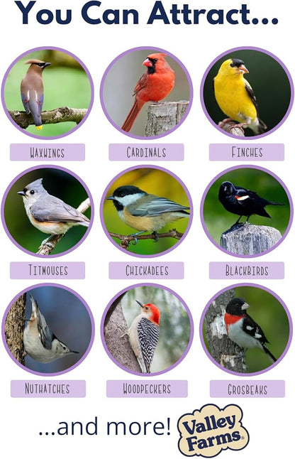 Valley Farms Fruit Nut & Berry Wild Bird Food for Outside Feeders, Bird Seed with Dried Fruit, Peanuts, Sunflower, and Safflower, High Energy Mix for Healthy Birds! (15 LBS)