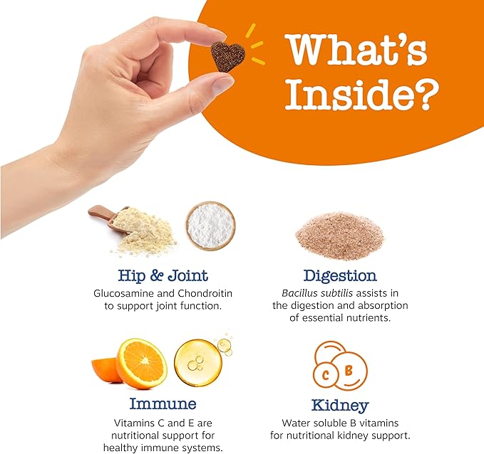 Zesty Paws Senior Dog Multivitamin Treats - Glucosamine for Dogs + Digestive Enzymes & Probiotics - Grain Free Dog Vitamins and Supplements for Skin & Coat + Immune Health Chicken - Advanced - 60ct