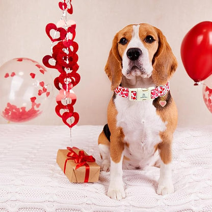 Lionheart glory Valentine's Day Collar, Red Hearts Dog Collar for Small Cute Dog Collars Spring Female Pet Gift Adjustable Heavy-Duty Holiday Dog Collar Plastic Buckle