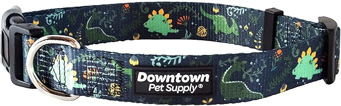 Downtown Pet Supply - Best, Cute & Fancy Dog Collar - Lightweight Adjustable Dog Collar with Quick Buckle & D-Ring - Hand Wash Safe - Dino - S - Small Dog Collar