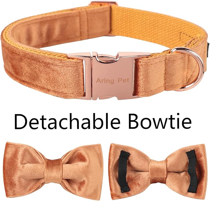 ARING PET Bowtie Dog Collar,Velvet Dog Collars with Detachable Bowtie, Yellow Soft Dog Collar,X-Large.
