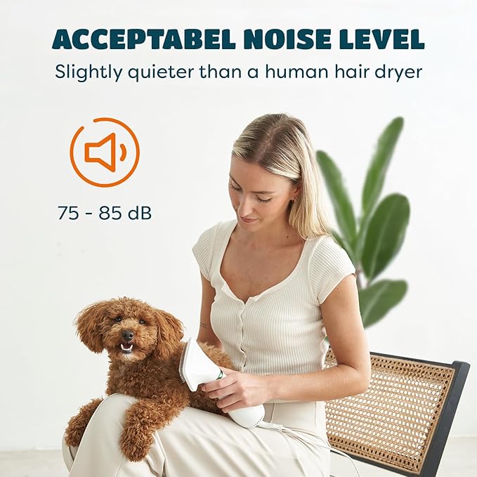 2-in-1 Dog Hair Dryer with Slicker Brush for Small-Sized Dogs and Cats | Pet Hair Dryer | Dog Blow Dryer | 300 Watts, 75-85 dB, Adjustable Temperature, Overheat Protection