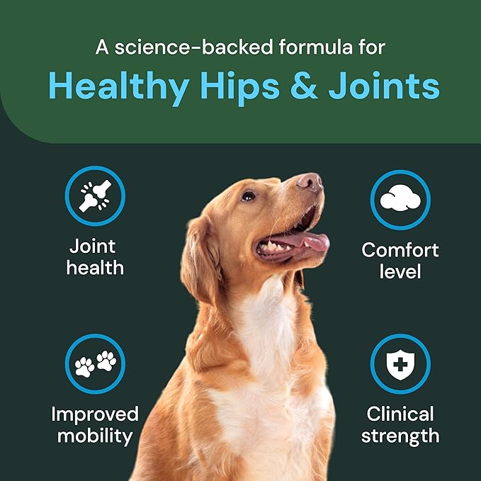 VETRISCIENCE Veterinary Strength Healthy Hip & Joint Chews - Joint Health Supplement for Dogs - Supports Mobility & Flexibility - 60 Count