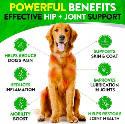 Hemp Hip and Joint Supplement for Dogs - Glucosamine for Dogs - 170 Dog Joint Pain Relief Treats - Chondroitin, Hemp Oil, MSM - Mobility & Flexibility Support - Advanced Care Health - Made in USA