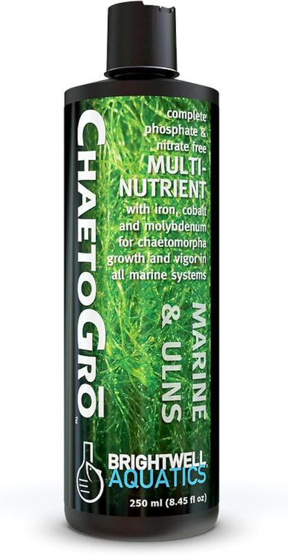 Brightwell Aquatics - ChaetoGro - Algae Nutrient Supplement for Chaetomorpha Growth in All Marine Fish Tanks - Multi-Nutrient Aquarium Water Treatments, 8.45 fl oz