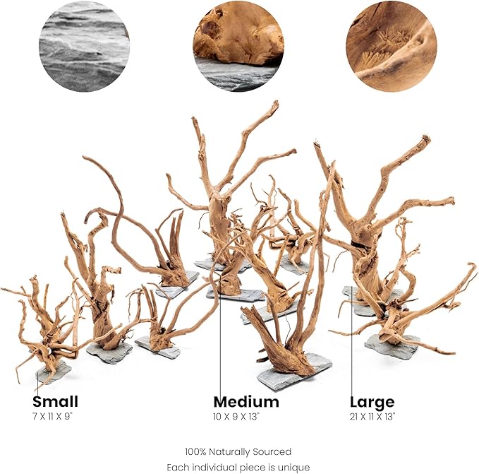 Ultum Nature Systems Driftwood - Spider Wood on Slate Stone for Fish Tank, Planted Tank, Terriarium, Paludarium - Versatile Natural Driftwood Decor - Spider Wood on Slate Stone, M 12-15", 5 Pack