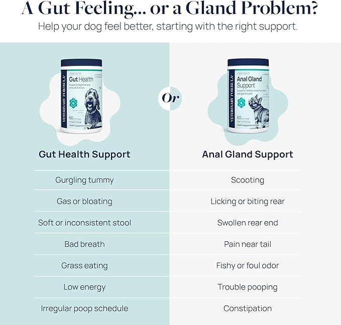 Veterinary Formula Gut Health Supplement for Dogs  Vet-Formulated Probiotic Chews with Digestive Enzymes & Fiber  Smart Vitality Supports Digestive Health, Gut Balance & Stool Quality, 60 Soft Chews