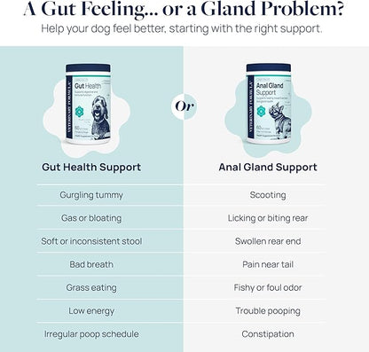 Veterinary Formula Gut Health Supplement for Dogs  Vet-Formulated Probiotic Chews with Digestive Enzymes & Fiber  Smart Vitality Supports Digestive Health, Gut Balance & Stool Quality, 60 Soft Chews