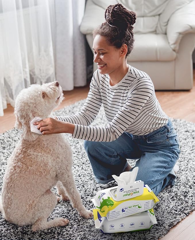 Dog Wipes for Paws and Butt, Pet Wipes for Dog Cat, Unscented Hypoallergenic Thick Dog Grooming Wipes for Cleaning Deodorizing, Puppy Wipes for Face Eye Ears Body Bath, 2Pack/200 Count