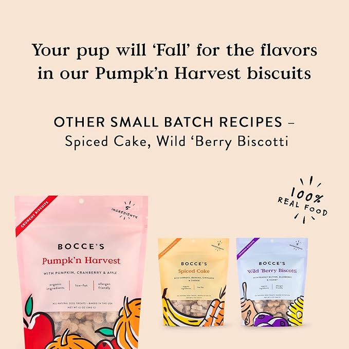 Bocce's Bakery All-Natural, Small Batch, Organic Dog Treats, Pumpk'n Harvest Biscuits, Wheat-Free, Limited-Ingredient, Made in The USA with 100% Recyclable Packaging, 12 oz Bag (DG-BC-PKH)