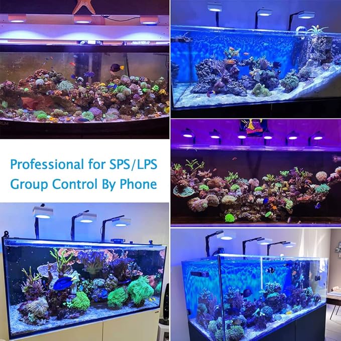PopBloom RL90 WiFi Reef LED Light, 300W Reef Aquarium Lighting for SPS LPS Corals and Saltwater Fish Tanks, Enhanced Violet and Blue Spectrum,APP Fully Programmable (3 Lights with Mount Arm kit)