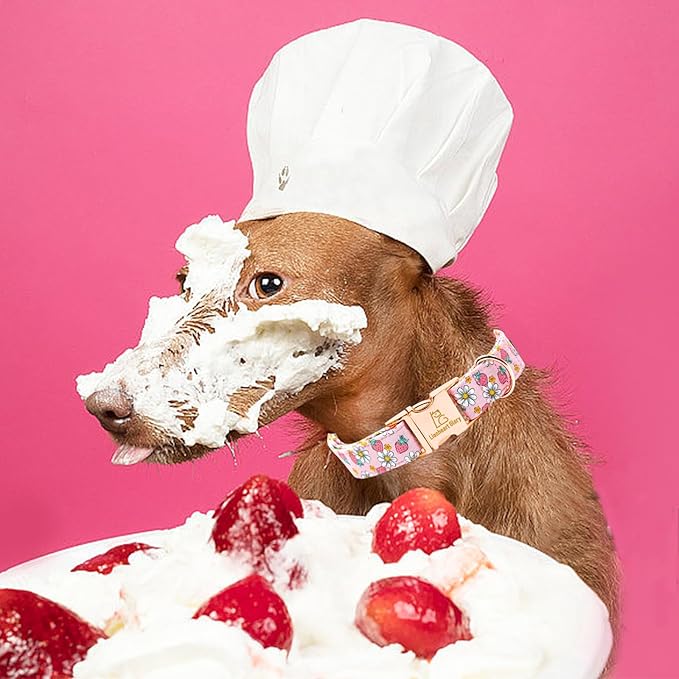 Lionheart glory Dog Collar Pink Dogs Collar Spring Summer Cute Collars Dog Female Soft Durable Adjustable Dog Collars for Large Dogs Pet Gift