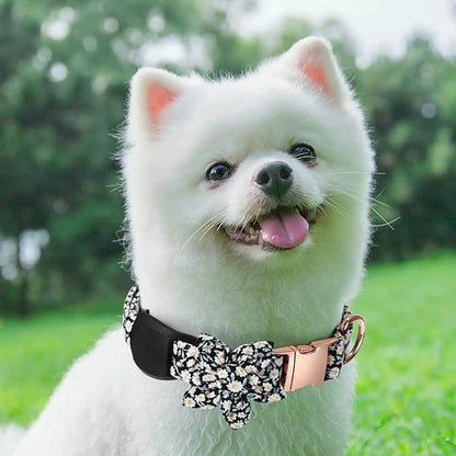 Airtag Dog Collar Holderï¼_nti-Lost Silicone Case Accessories for Air Tag GPS Trackingï¼_ompatible with Dogs Cats Pets Collar (2 Pack, Black)