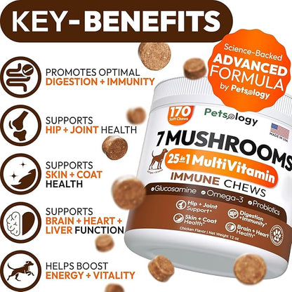 Turkey Tail Mushroom for Dogs - 170 Chews - Lion’s Mane - Shiitake - Reishi - Buddy Immune Support Guard - Mushroom Supplement for Dogs Lumps and Bumps Glucosamine, Health Vitamins Multivitamin