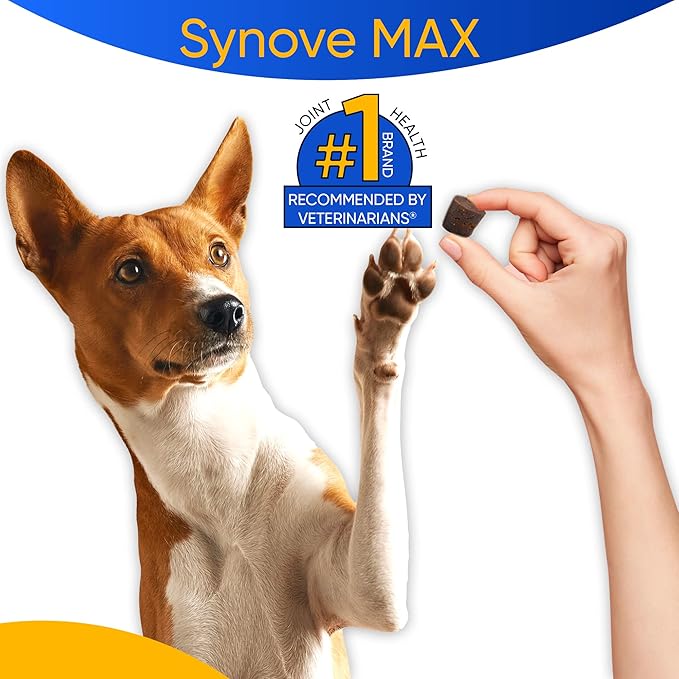 Synove Max Soft Chews for Dogs (240 Count) Beef Flavor, Joint Supplement, Glucosamine, Turmeric, Boswelllia serrata, Creatine Naturally Derived Ingredients better than synovi g4 soft chew