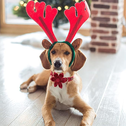 Christmas Dog Collar, Dog Collar with Flower, Adjustable Flower Dog Collars, Boy Girl Dog Collars for Small Medium Large Dogs