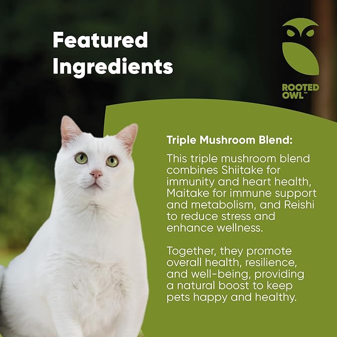 Rooted Owl Natural Immunity - Cat and Dog Immune Support - Triple Mushroom Supplement for Dogs & Cats with Reishi, Shiitake and Maitake Mushrooms - 60/ct Vegan Capsules