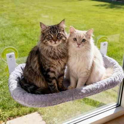 Cat Window Perch with Strong Suction Cups, 55lbs Hold Weight Tested, Foldable Cat Window Hammock Bed with Breathable Mesh, All-Season Lounger for Medium Small Cats to Bird Watch & Sunbathe (Grey, XL)