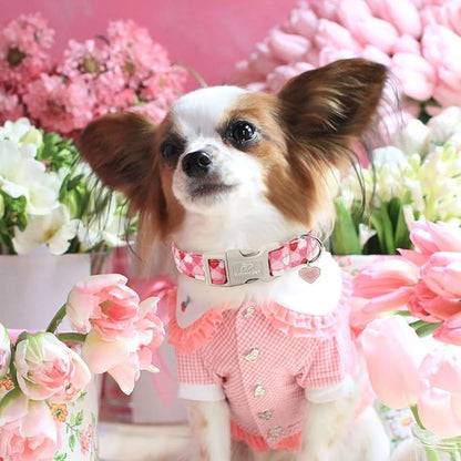 Valentine's Day Dog Collar - Cute Pink Valentines Dog Collar Girl Boy Durable Adjustable Love Heart Pattern Charm Dog Collars for Small Medium Large Dogs XL