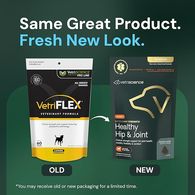 VETRISCIENCE Veterinary Strength Healthy Hip & Joint Chews - Joint Health Supplement for Dogs - Supports Mobility & Flexibility - 60 Count