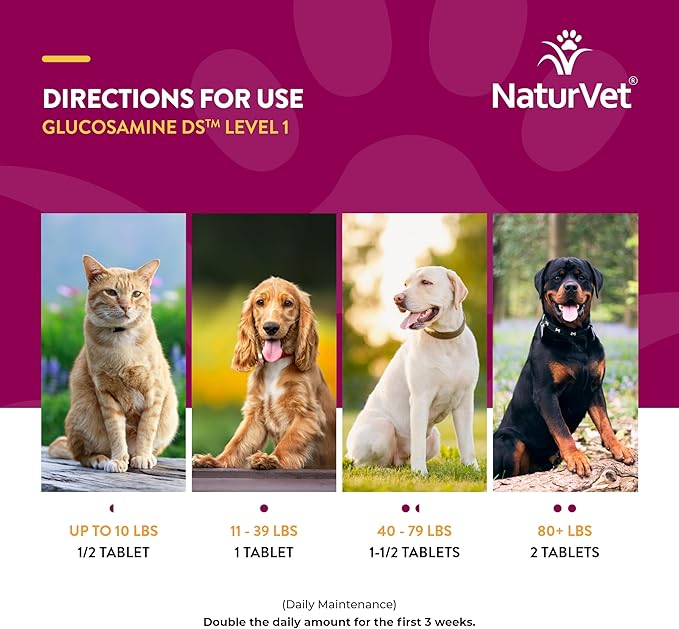 NaturVet  Glucosamine DS - Level 1 Maintenance Care | Preventative Care to Maintain Healthy Cartilage & Joint Function | Enhanced with Glucosamine & Chondroitin | for Dogs & Cats (240 Tablets)