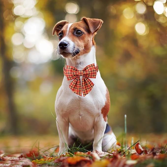 ARING PET Fall Dog Collar-Cotton Halloween Plaid Dog Collar with Bowtie, Adjustable Orange Halloween Dog Collars Pet Necklace with Metal Buckle for Girl&Boy Dogs
