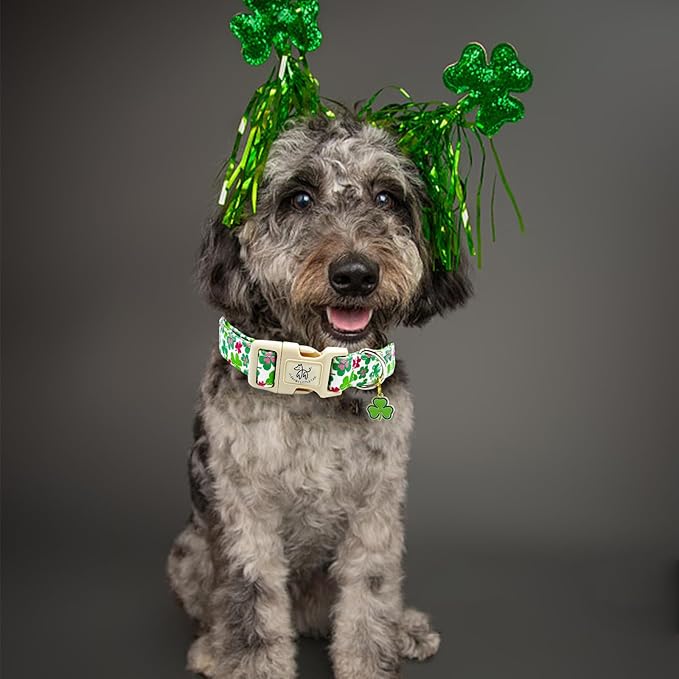 Elegant little tail St Patrick's Day Dog Collar-Green Cute Colver Cotton Shamrock Pet Collar Trefoil Holiday Adjustable Cotton Pet Collar with Quick Release Buckle for Small Medium Large Dogs
