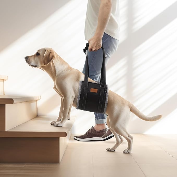 LOOBANI Portable Dog Sling for Back Legs, Hip Support Harness to Help Lift Dogs Rear for Canine Aid and Old K9 Cruciate Ligament Rehabilitation