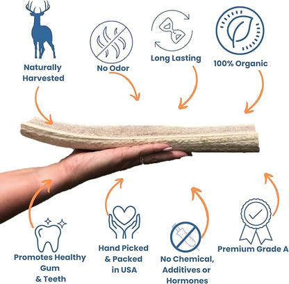 Elk Antlers for Dogs - Made in USA, Natural, Long-Lasting Dog Antler Chews - Split Antlers for Aggressive Chewers - Deer Antler Chew Bones for Small, Medium, Large & Extra Big Dogs
