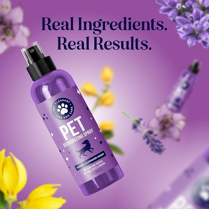 Lavender Oil Dog Deodorizing Spray - Dog Spray for Smelly Dogs and Puppies and Dog Calming Spray with Lavender Essential Oil - Lightly Scented Dog Deodorizer for Smelly Dogs and Dog Essentials