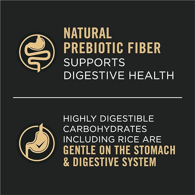 Purina Pro Plan Sensitive Skin and Stomach Dog Food Wet Classic Pate Lamb and Oat Meal Entrée - (Pack of 12) 13 oz. Cans