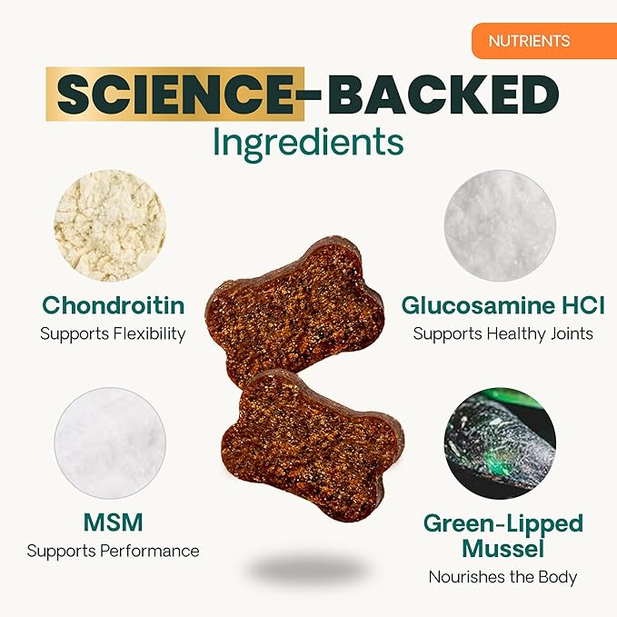 VetriScience Extra Strength Healthy Hip & Joint Chews, GlycoFlex Glucosamine & Green-Lipped Mussel Support Supplement for Dogs, Promote Mobility & Soothe Joint Discomfort, Chicken, 3 Pack