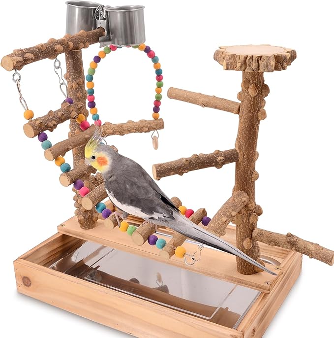 Bird Playground, Bird Perch Play Stand, Conure Parakeets Parrots Cockatiel Toys, for Bird Cage Accessories, Natural Wood