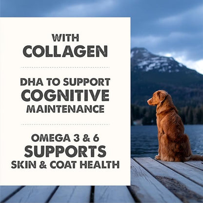 Grizzly Life Stage Liquid, Senior Health Supplement (16 FL. OZ)